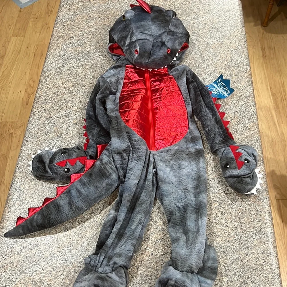 Ministry of Rascal dragon costume size 2T